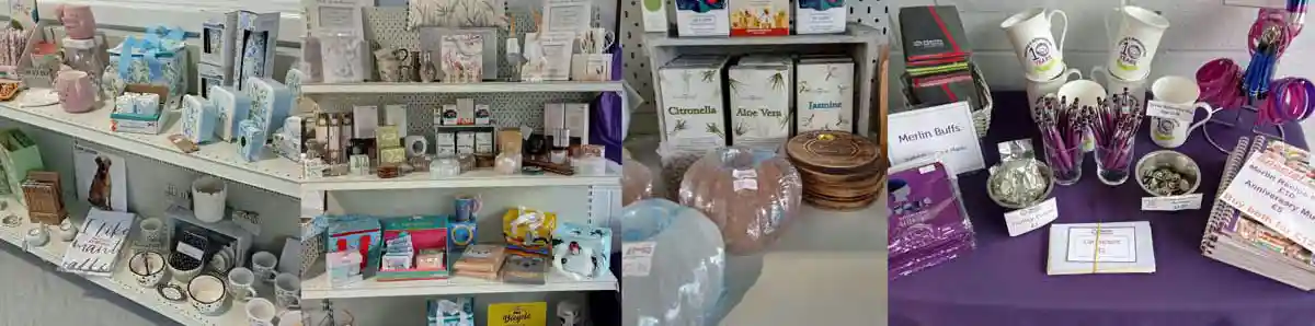 The Merlin Neuro Therapy Centre Cornwall - Shop Retail Therapy